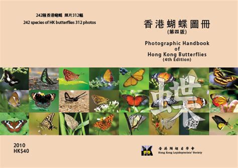 香港蝴蝶圖冊|HONG KONG BUTTERFLIES 香港蝴蝶 